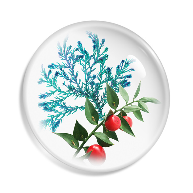 Contains POLA's original beauty complex, BA Core Extract.