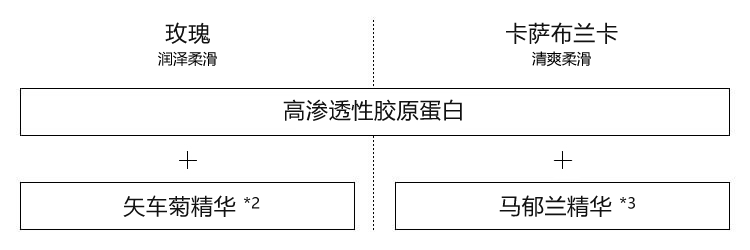 成分