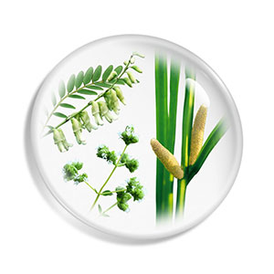 Formulated with BP Lumina Extract, POLA's original beauty complex.